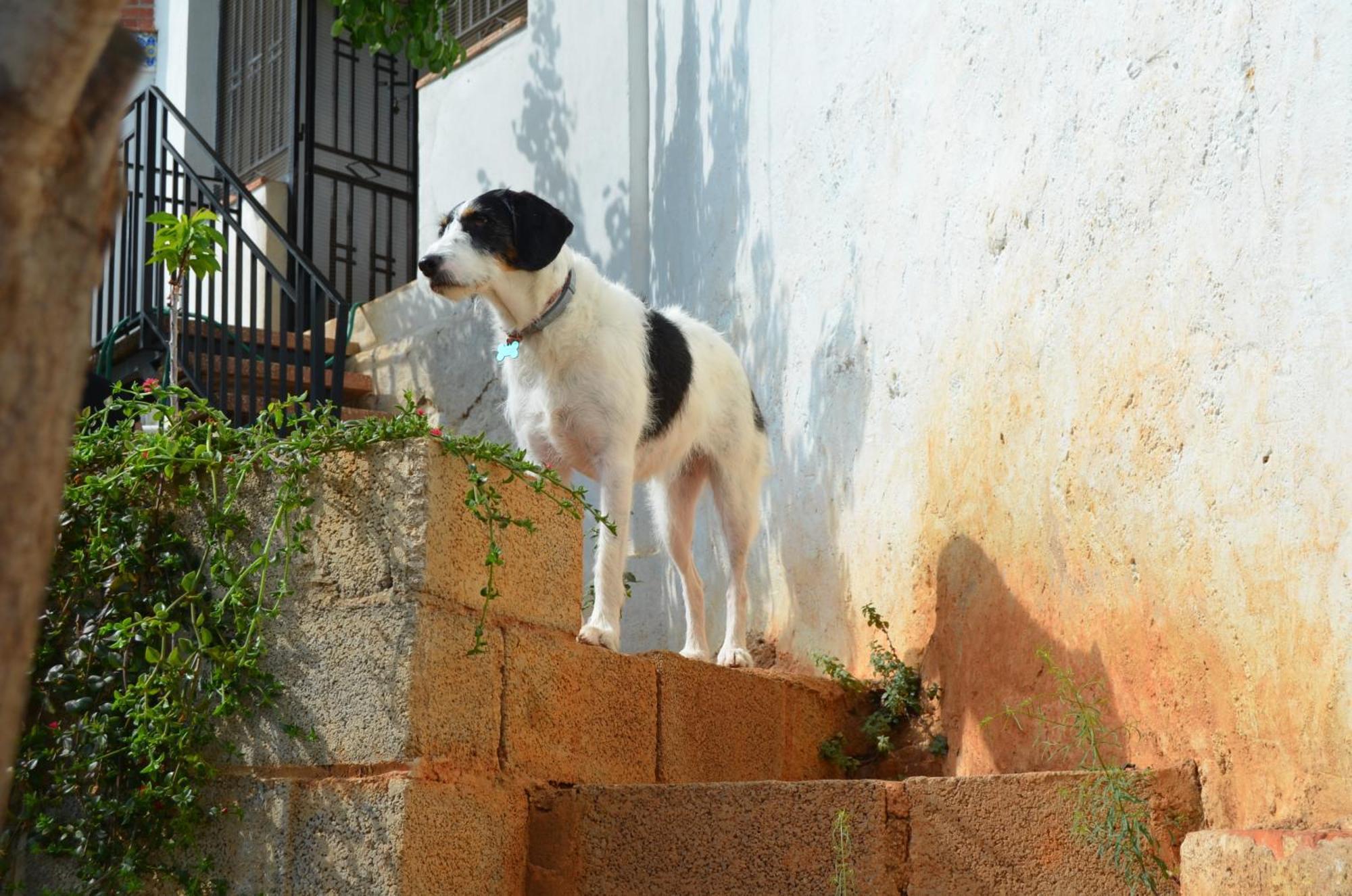 Casa El Castell Villa Eslida Exterior photo